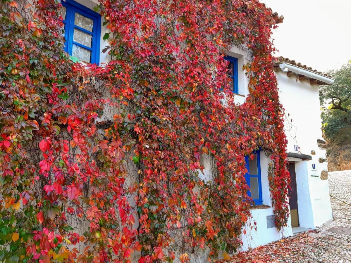 Alájar Casita Collado 1ヴィラ エクステリア 写真